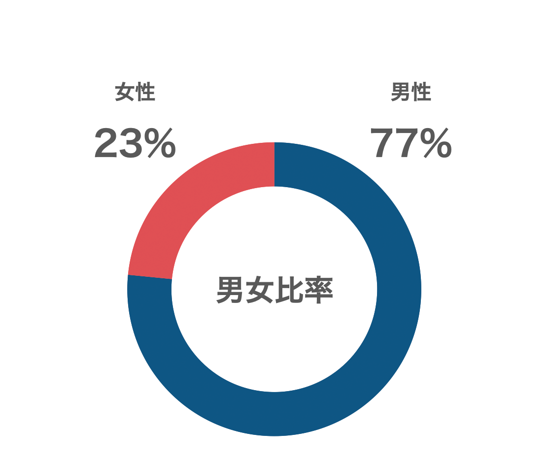 男女比率